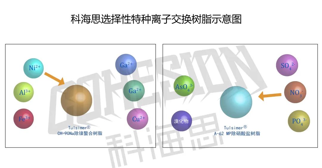 在實(shí)際水處理運(yùn)行中，離子交換樹(shù)脂選擇性的影響因素有哪些